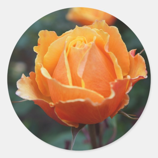 Sobre os adesivos do Face Rosa nº 1 (Frente)