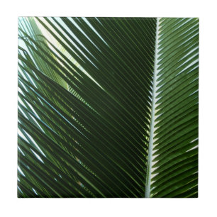 Sobreposição das bordas das palmas Abstrato Verde