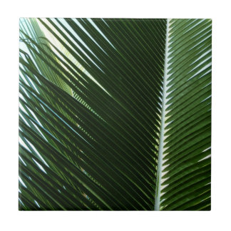 Sobreposição das bordas das palmas Abstrato Verde
