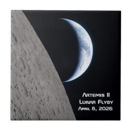 Sobrevoo Lunar Artemis II
