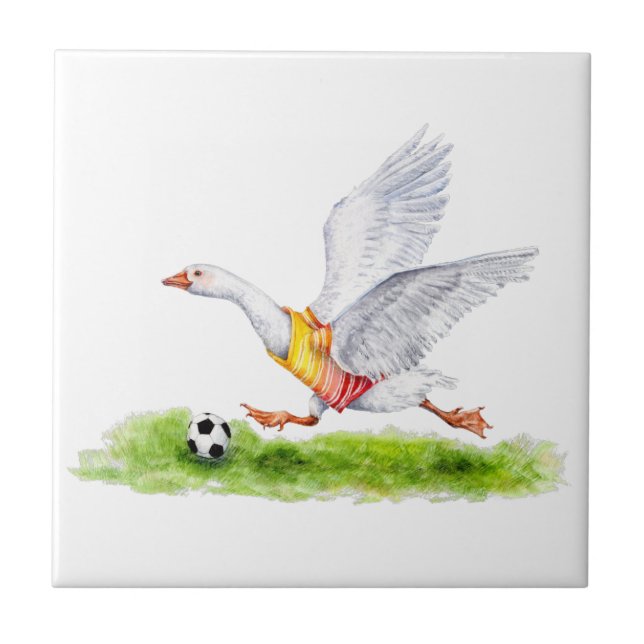 Soccer Goose (Frente)