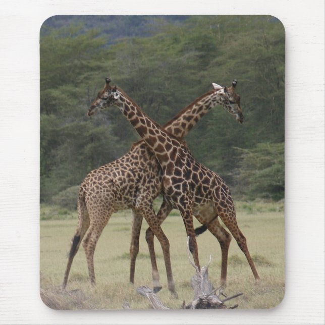 Sócios perfeitos - Mousepad (Frente)