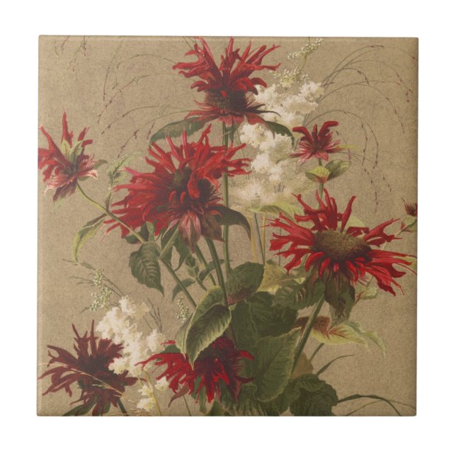 Sofisticado Vermelho e Floral Burgundy Contra Bege (Frente)