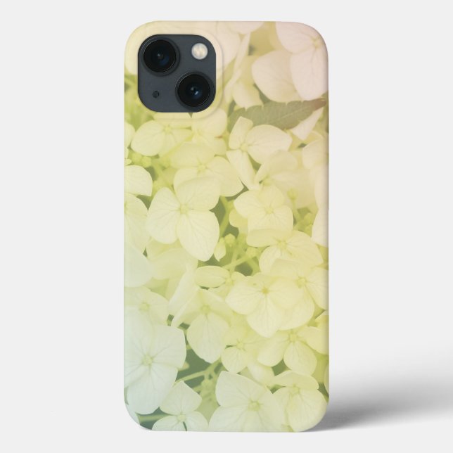  Soft Pastel Rainbow Hydrangea (Verso)