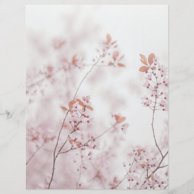 Soft sakura blooms scrapbook paper (Frente)