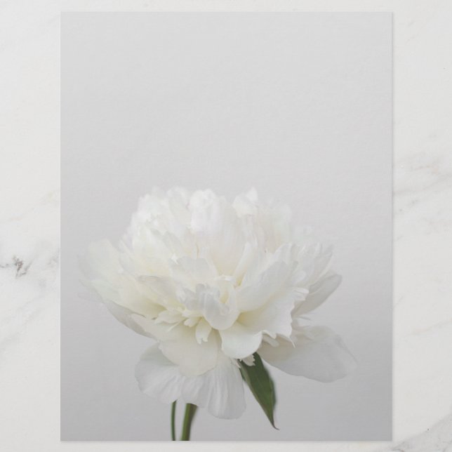 Soft white minimalist peony scrapbook paper (Frente)