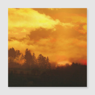 SOL DA MANHÃ NATURE