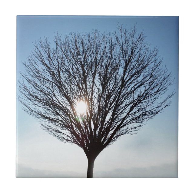 Sol de inverno (Frente)