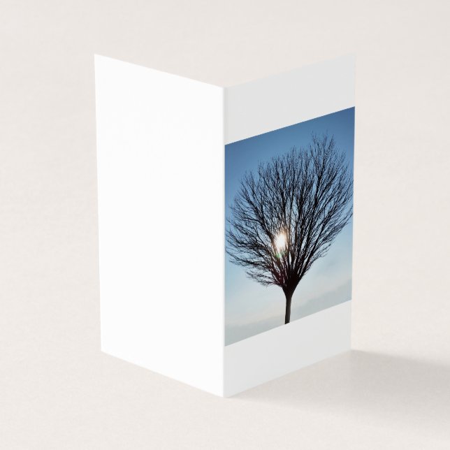 Sol de inverno (Exterior)