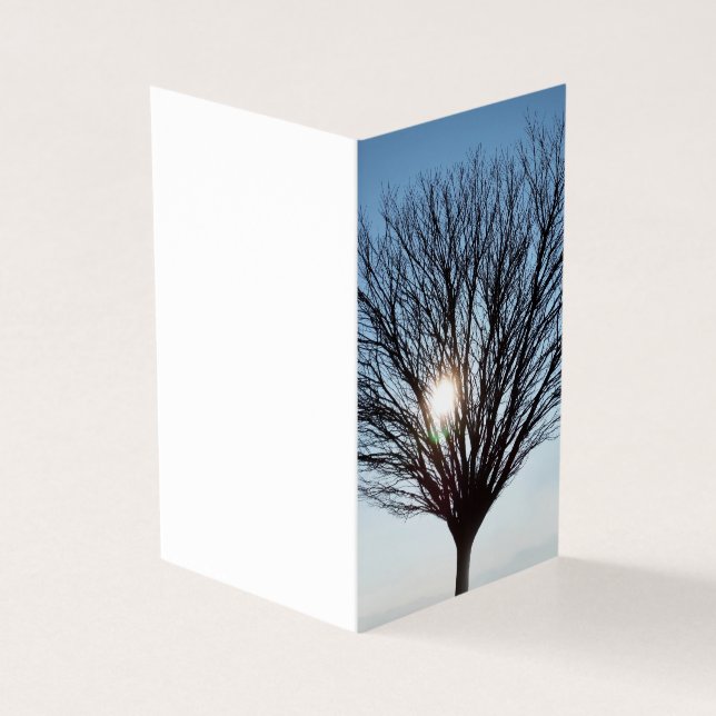 sol de inverno (Exterior)