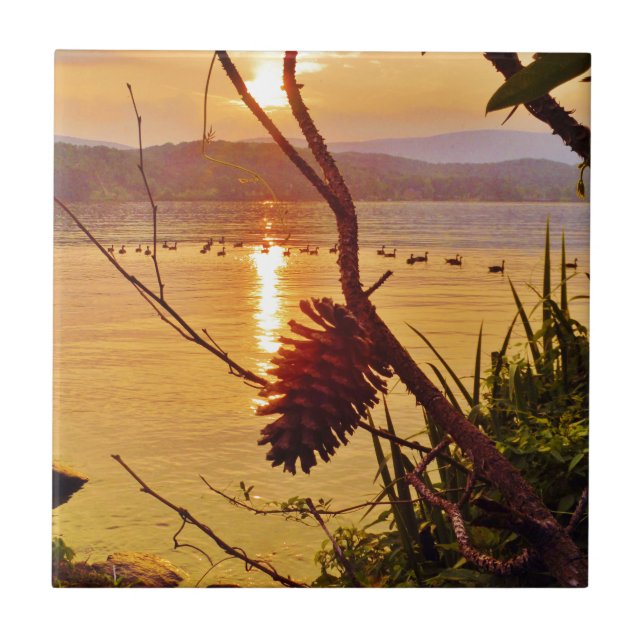 Sol do Lago Pinecone (Frente)