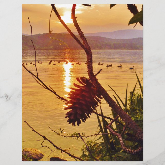 Sol do Lago Pinecone (Frente)