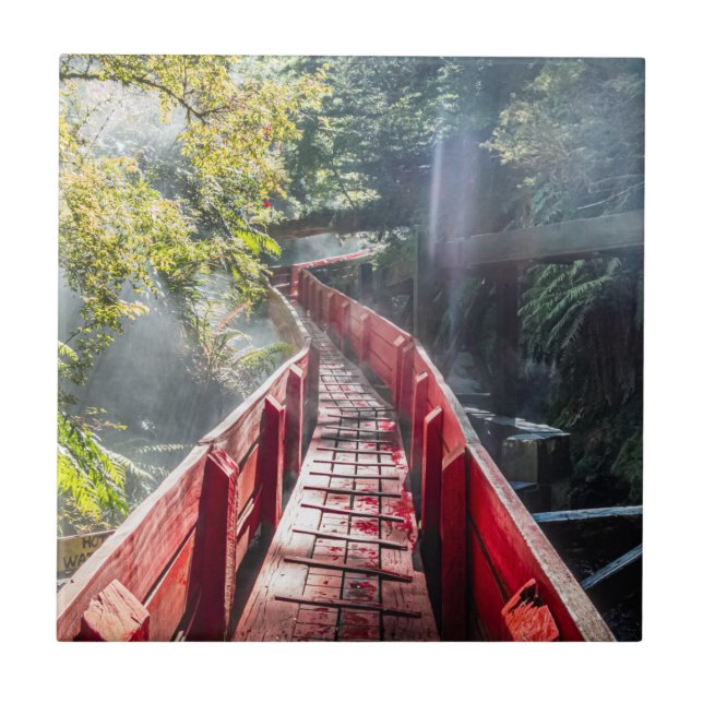 Sol nos Termas Geometricas, Conaripe, Chile (Frente)