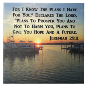 SOL PACÍFICO NO LAGO