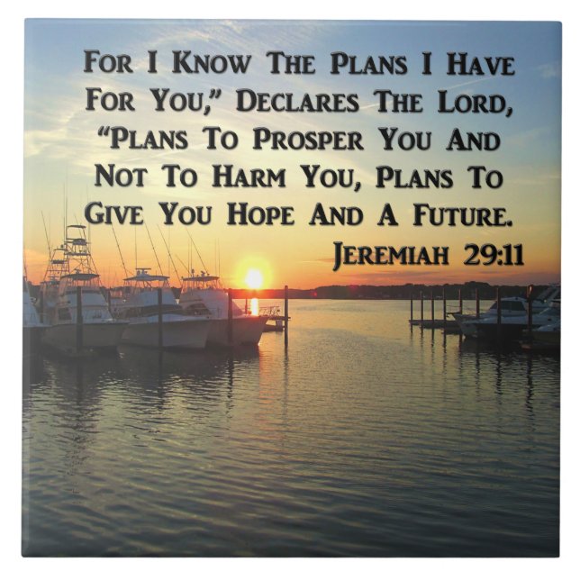 SOL PACÍFICO NO LAGO (Frente)