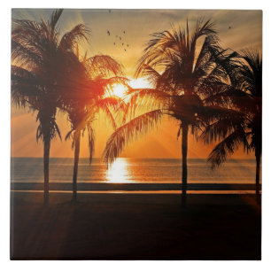 Sol tropical bonito