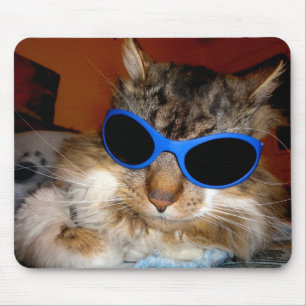 "Soldado gajo legal do gato"! Mousepad