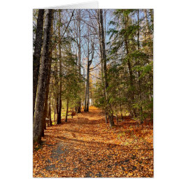 Soldotna Creek Park Autumn - Cartão de Arte de 5"