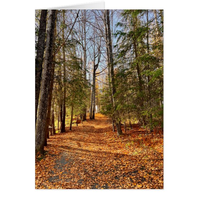 Soldotna Creek Park Autumn - Cartão de Arte de 5"  (Frente)