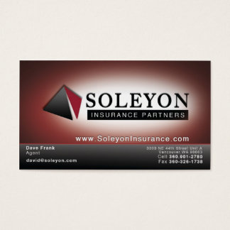 Soleyon 2
