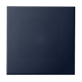 Solid Midnight Blue | #121d34