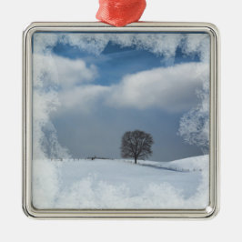 Solidão do inverno dos enfeites de natal