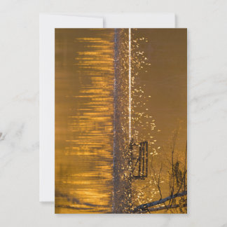 Solitário corrido pelo lago à luz do ouro