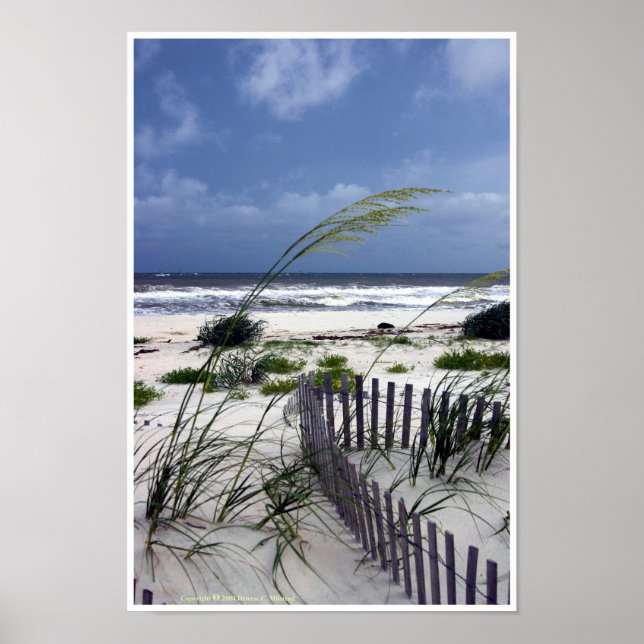 Solitude Poster (Frente)