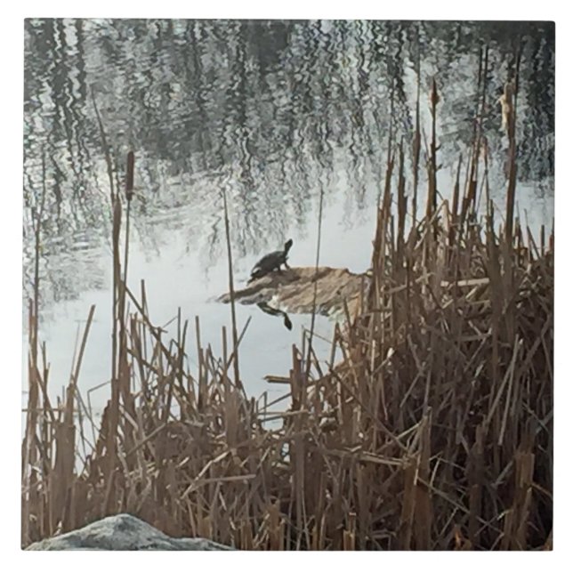Solstício de inverno (Frente)