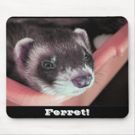 Solte o Mousepad Ferret