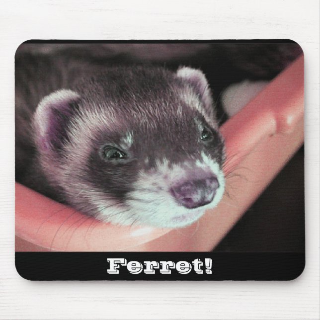 Solte o Mousepad Ferret (Frente)