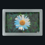 Solteiro Daisy<br><div class="desc">Feche a fotografia de uma margarida solteiro em pé contra a folhagem verde-escura.</div>