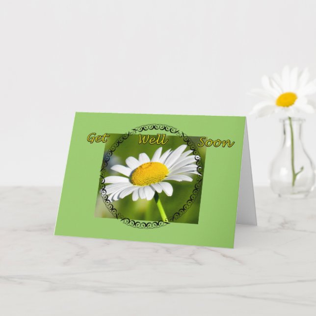 Solteiro Daisy Obtenha Bem Cartão (Planta pequena)
