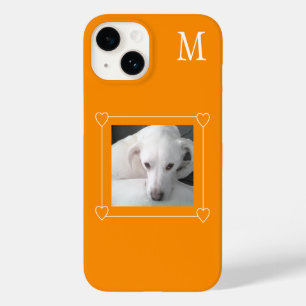 Solteiro de Cachorro de Foto em Branco Inicial