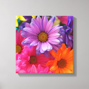 Solteiro de Canvas Colorida Flower Daisies