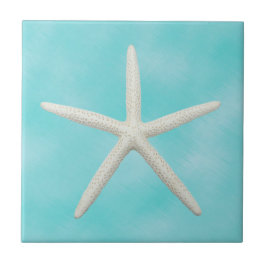 Solteiro de Starfish do Aqua Blue