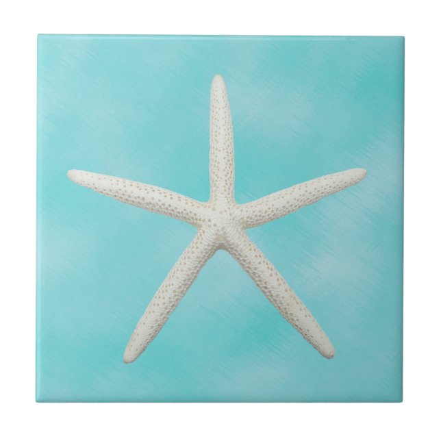 Solteiro de Starfish do Aqua Blue (Frente)