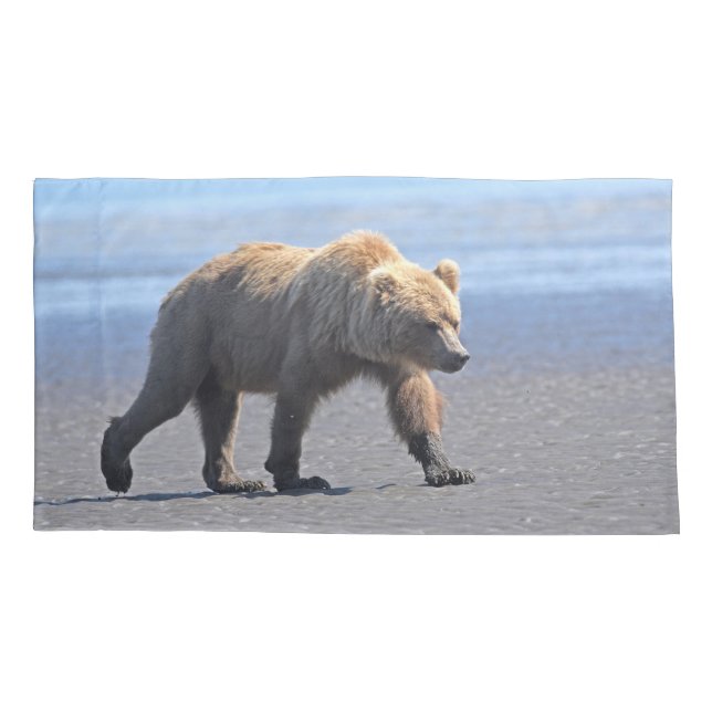 Solteiro Rei Tamanho Perfurador do urso-pardo (Verso)