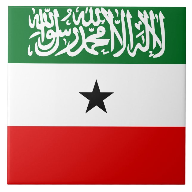Somaliland Flag (Frente)