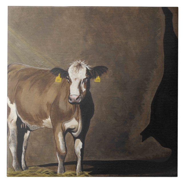 Sombra da vaca (Frente)