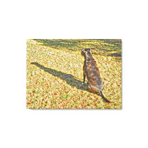 Sombra e sua canvas de arte