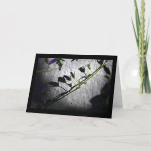 Sombras - Cartões de condolências