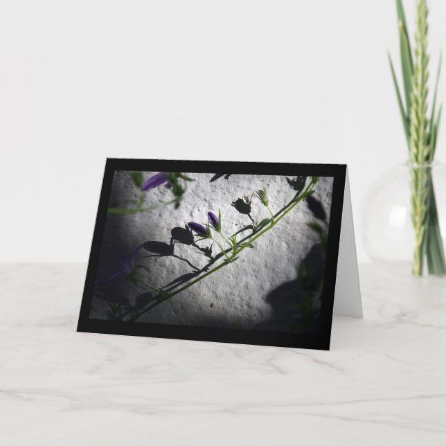 Sombras - Cartões de condolências (Frente)