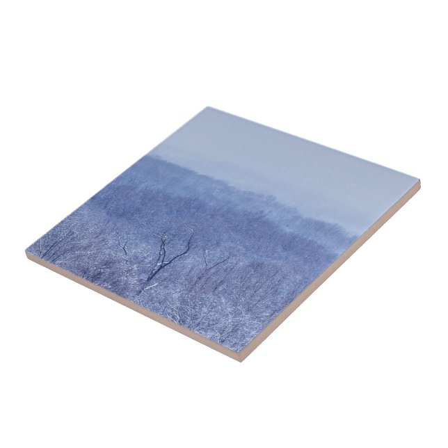 Sombras de Azul (Lateral)