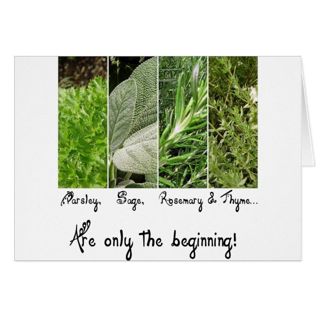 Somente o cartão do começo (Frente Horizontal)