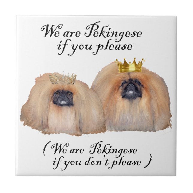 Somos Pekingeses (Frente)
