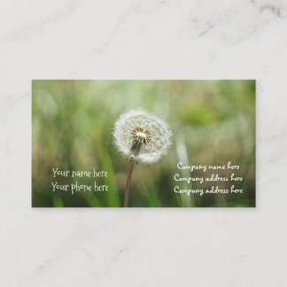 sonha o cartão de visita