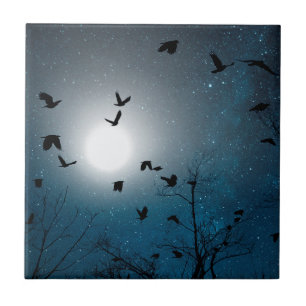 Sonho Azul Celestial