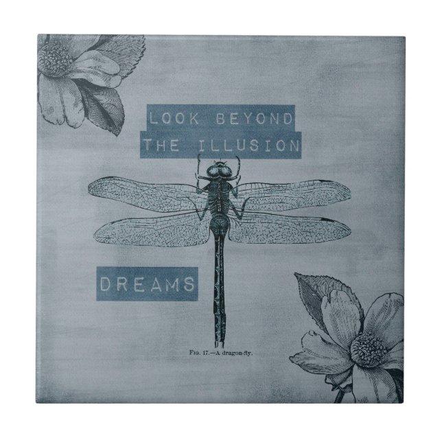 Sonho de Dragonfly Illusion (Frente)