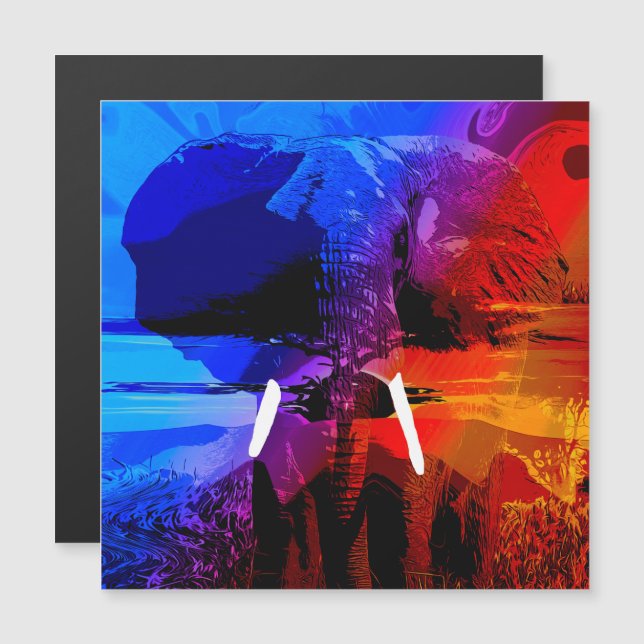 Sonho de Elefante (Frente/Verso)